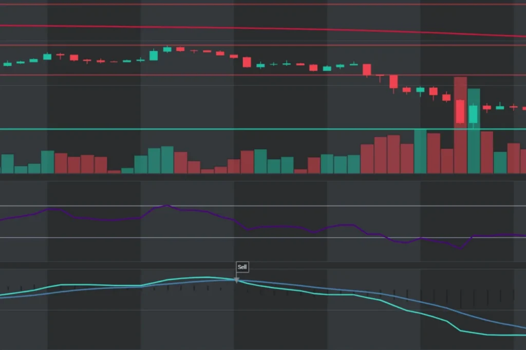 Predict Top Crypto Gainers Today