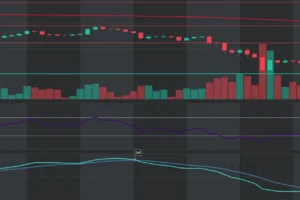 Predict Top Crypto Gainers Today